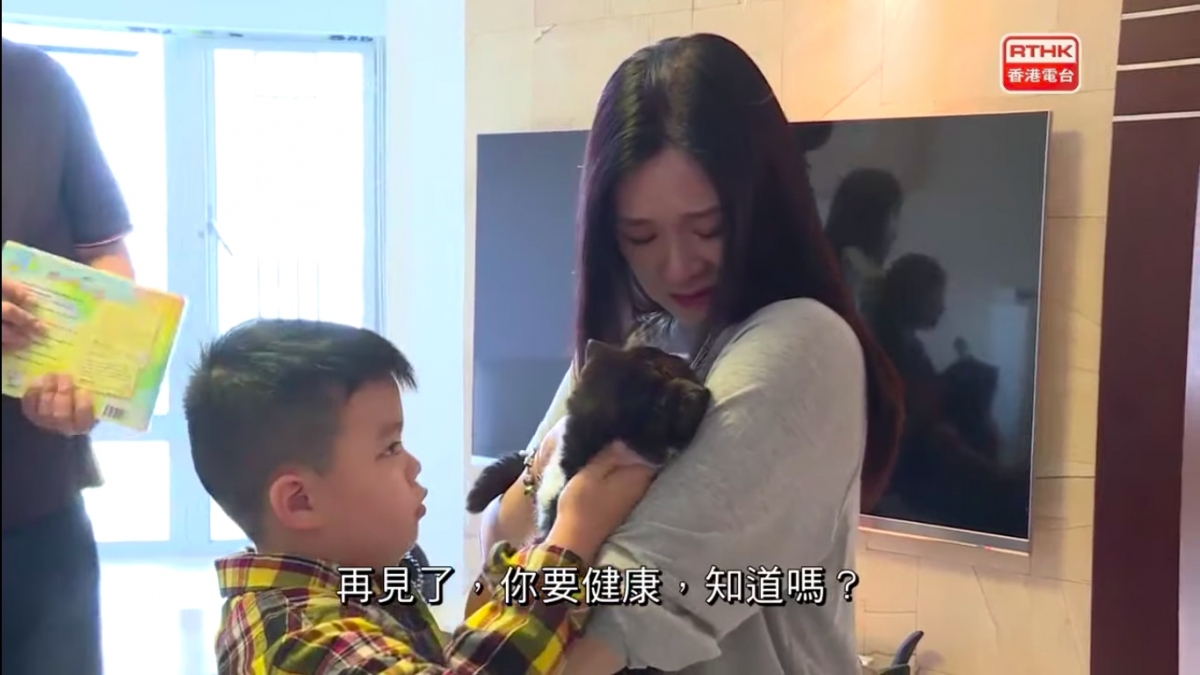 港人一家移民台灣/老公留港照顧病貓終老