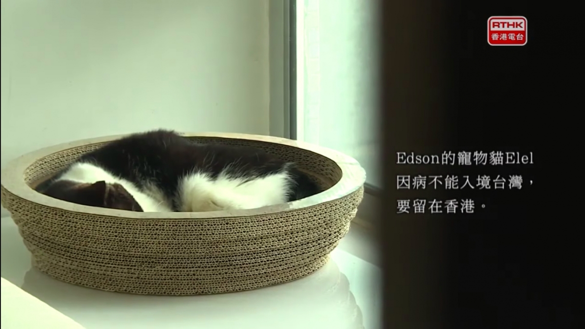 港人一家移民台灣/老公留港照顧病貓終老