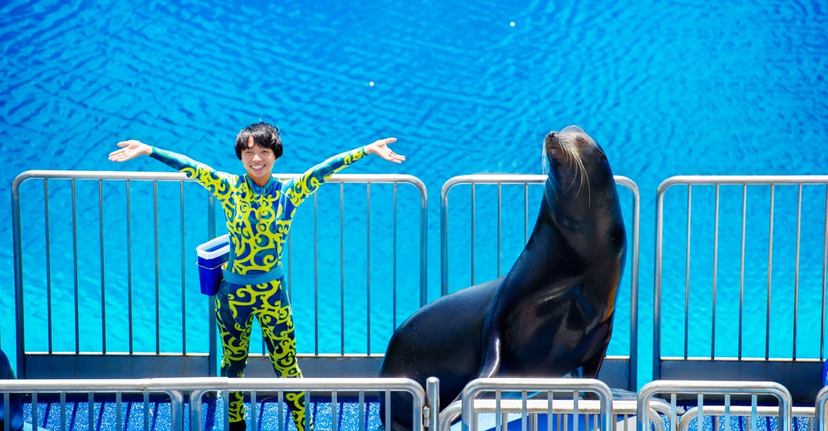 【海洋公園】小時候來到海洋公園當然也不能錯過看海豚的表演,看著一個個海豚跟著指揮員的指示,做出多個神奇的動作