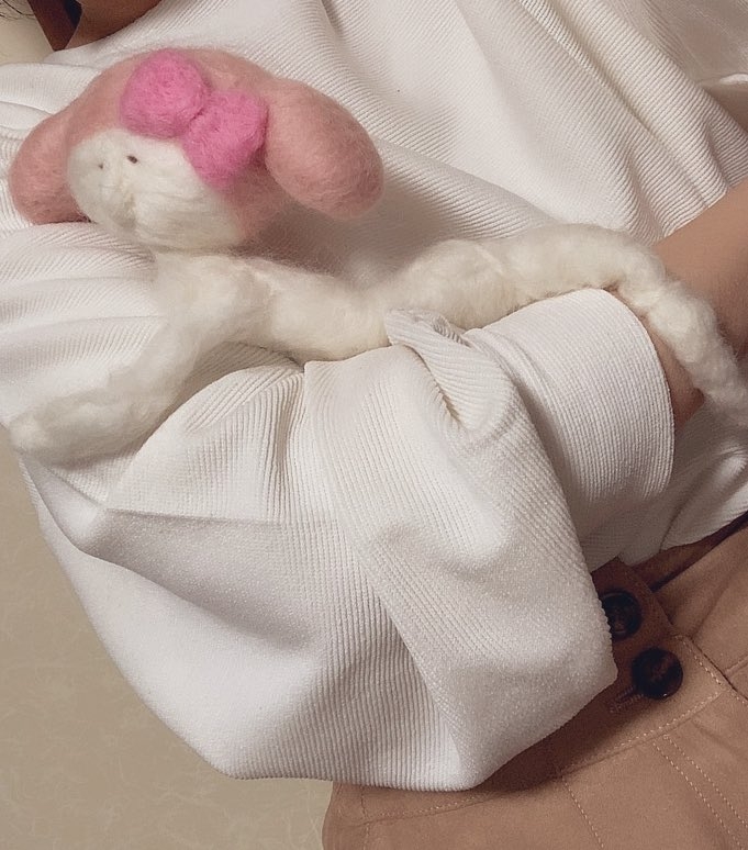 一張Melody軟趴在版主手臂上的照片，超像一隻溫馴的樹獺寵物！有網民還留意到「人乾版」Melody有著6塊腹肌和長長的美腿，欣賞著它的獨特美～