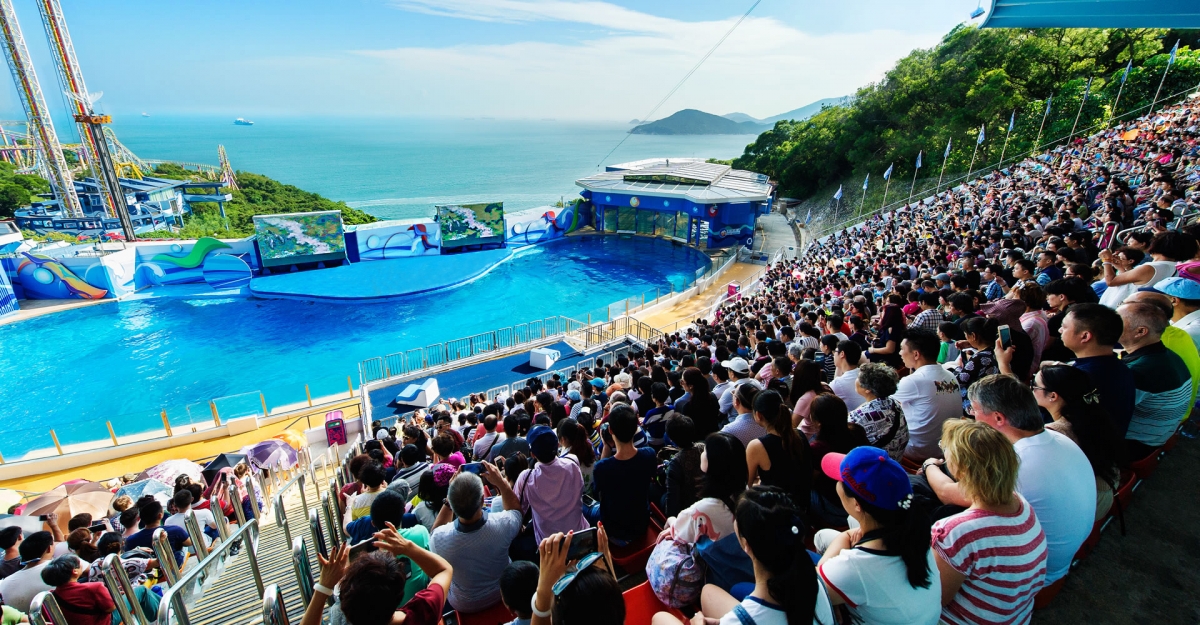 【海洋公園】未來海洋劇場的海豚表演亦會停止,改作可容納3000人的表演場地。