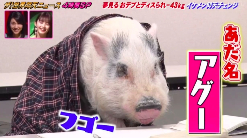 螢幕截圖 2021-01-08 下午4.26.57