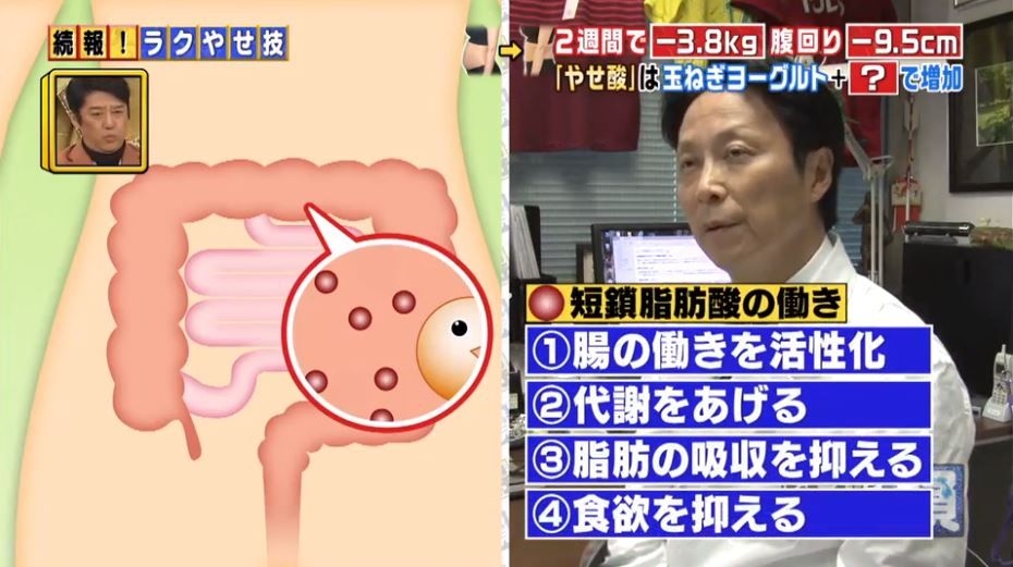 如此神奇的效果,原來全因兩樣食材都可以幫助排走宿便,令體重減輕?節目解釋乳酪含有益生菌,洋蔥則含一定膳食纖維,兩樣食材配合一起吃就會有促進腸道蠕動、提升新陳代謝、抑制脂肪吸收和抑制食慾的效果。