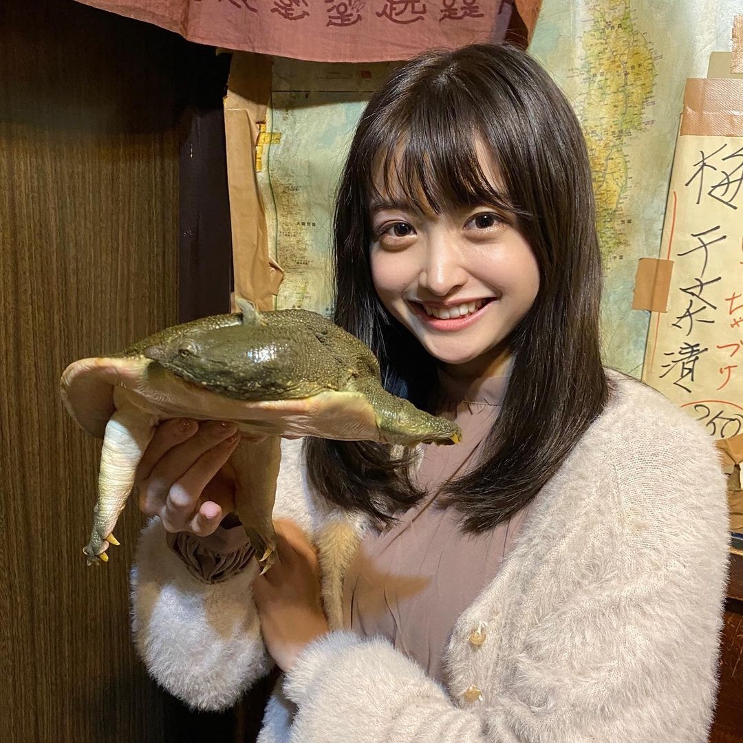 日本「翻版橋本環奈」爆紅!外貌氣質相似度達99%?