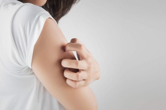 d0c3927b69402a97a935c277ab9d91c3