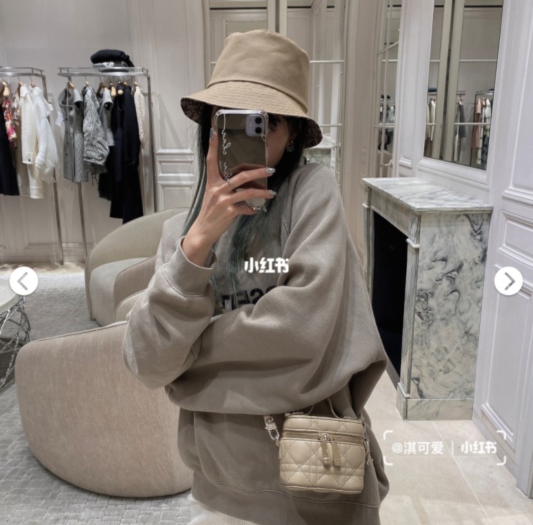 ladydiorvanitycase12