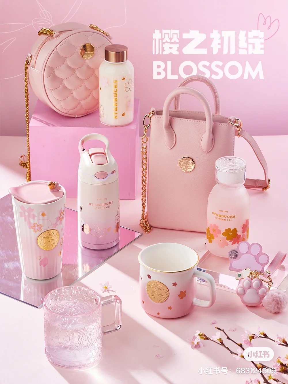 149702753_3797958153596640_4858952683185655066_n