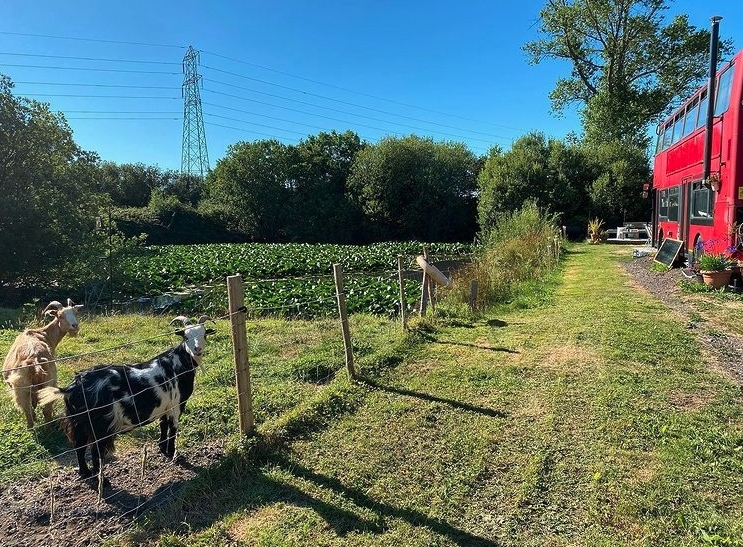 英國-情侶-住巴士-doubledecker8