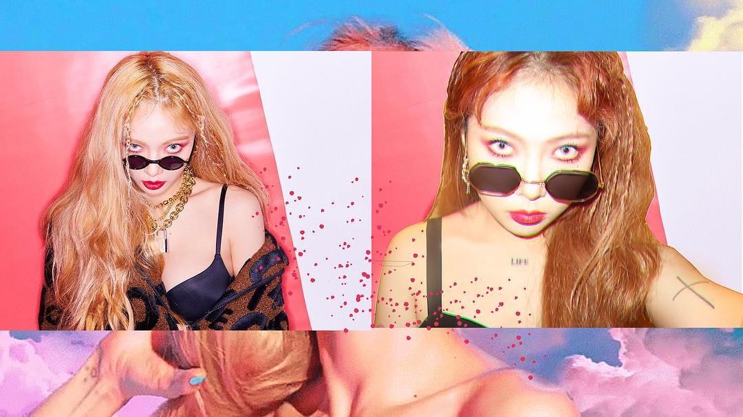 25021743_132224117474840_8839860336682074112_n