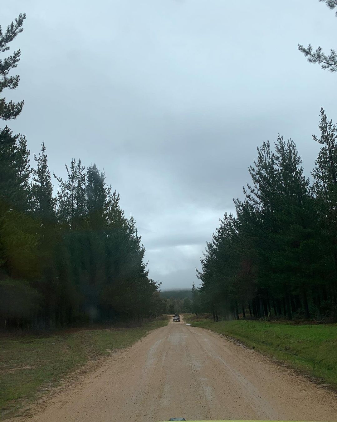 22歲澳洲女子左右不分，為防止迷路，竟在手上紋身「L、R」分辨方向？