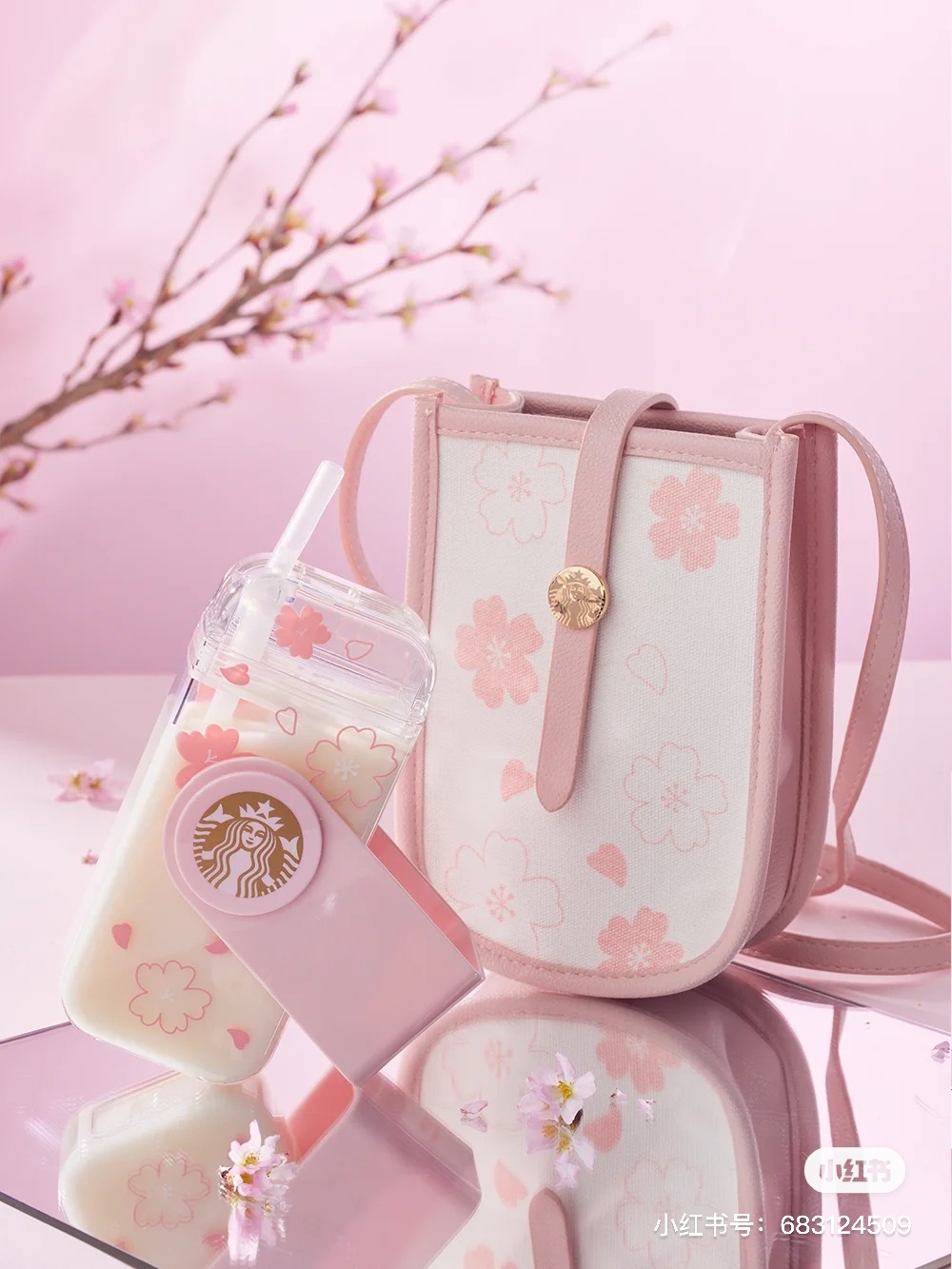 153092489_284511299772562_6680291257485432501_n