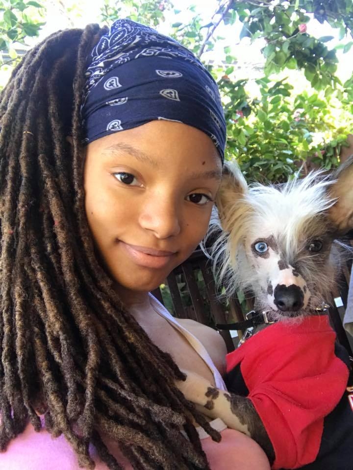 真人版《美人魚》電影正式開拍!Halle Bailey無懼爭議演Ariel