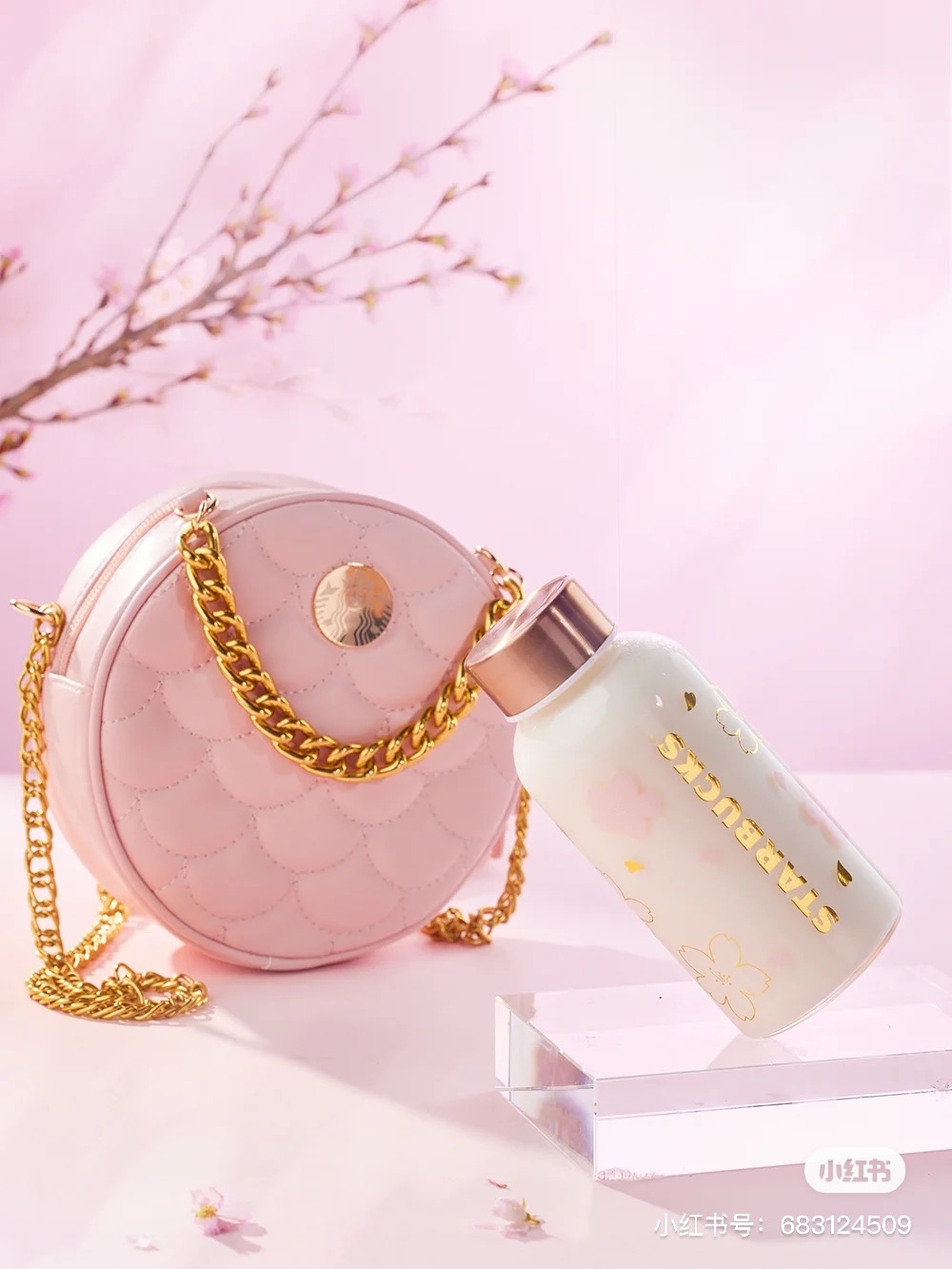 153023155_3699104423519796_1742309193925214220_n