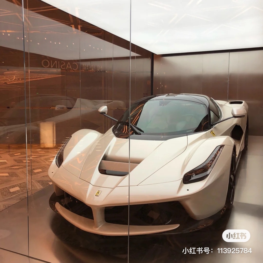 這款LaFerrari 是法拉利一款混合動力跑車,全球限量500部,而編號第500部更已供慈善拍賣用途
