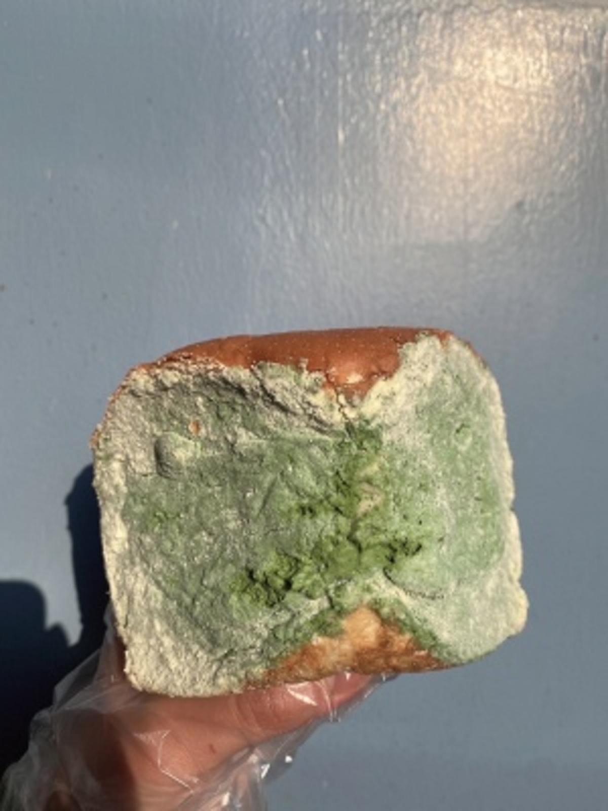陸最近一款「芝士抹茶奶酪包」熱賣,成為網紅流行的打卡甜品