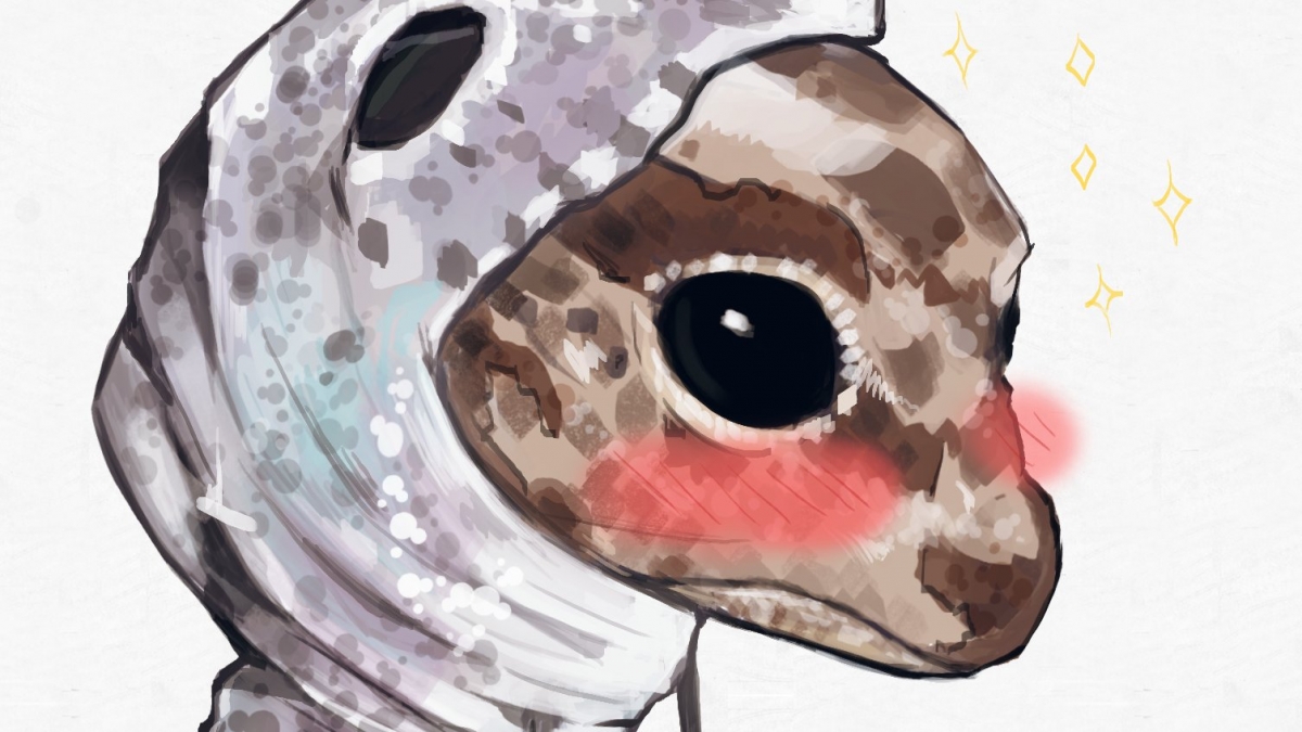 日本寵物守宮脫皮變著hoodie衛衣/守宮微笑萌樣爆紅