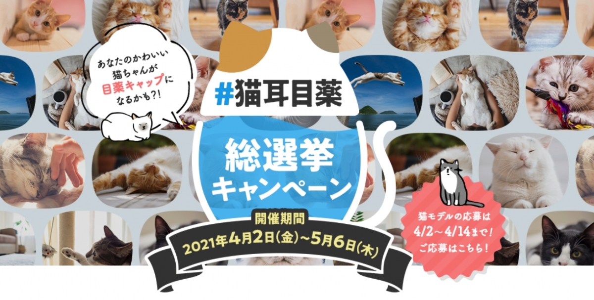 【日本藥妝】ROHTO樂敦貓耳眼藥水 貓咪選舉全球投票Top3作設計