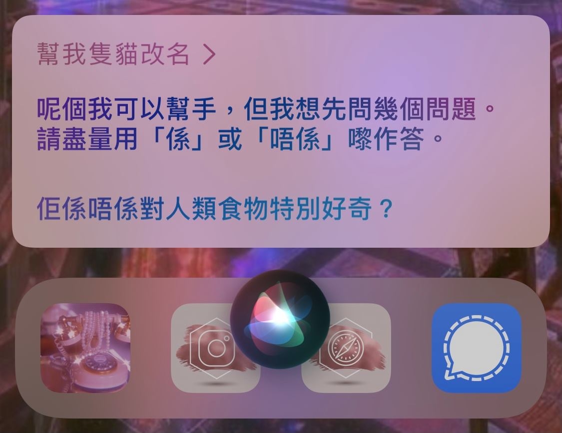 -iphone-siri-寵物名-18