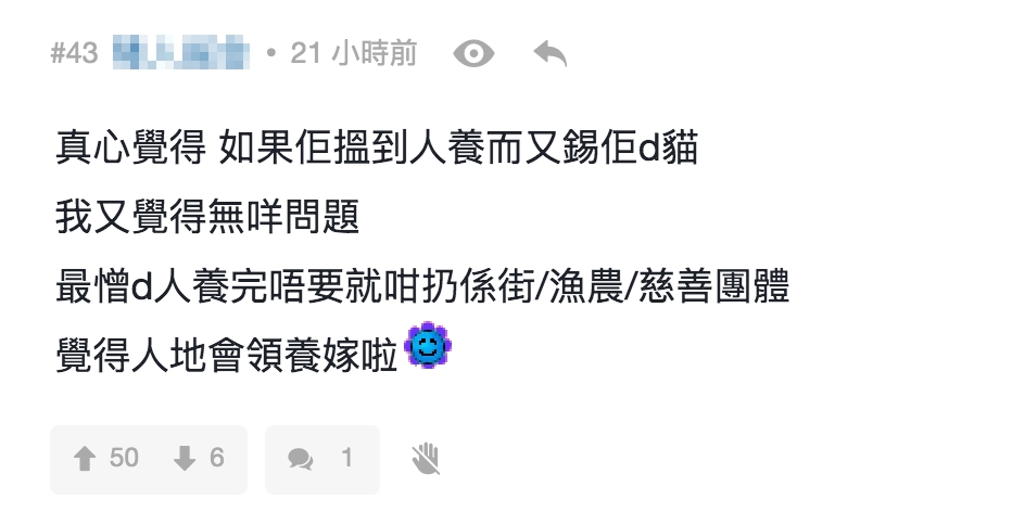 不少網民也力撐陳茵媺,認為如果她找到人養而又錫她的貓貓就沒問題