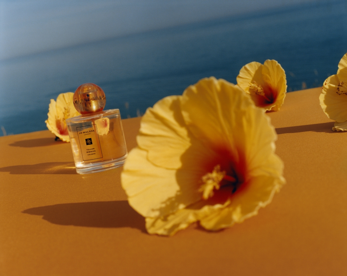 Jo Malone London Blossoms 全新黃扶桑花古龍水