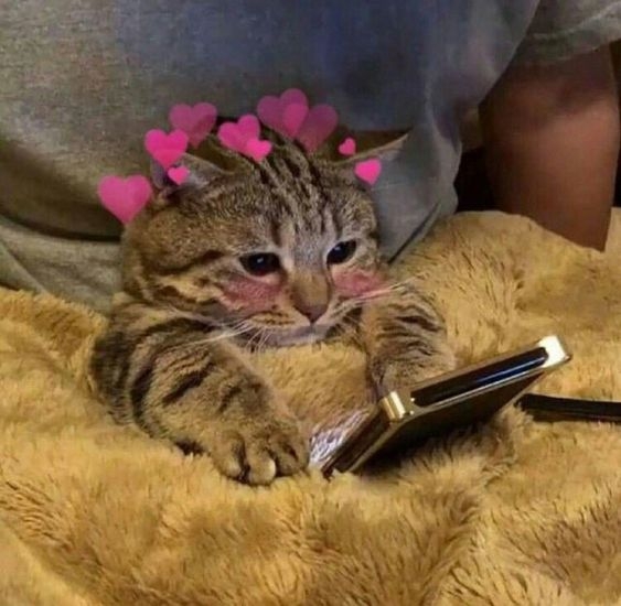 -iphone-siri-寵物名-