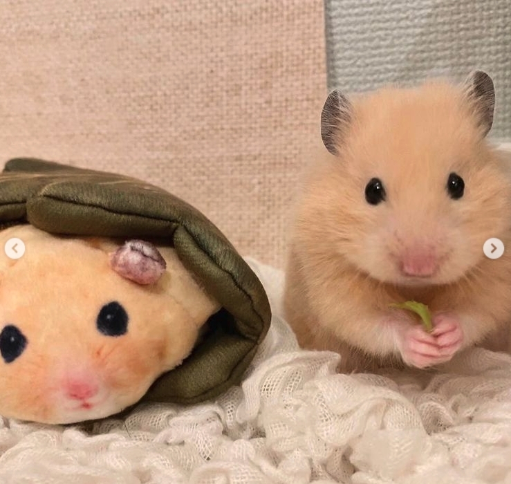 倉鼠和菓子鑰匙扣的倉鼠躲在葉子裏面,軟萌扮演麻糬質感的餡料