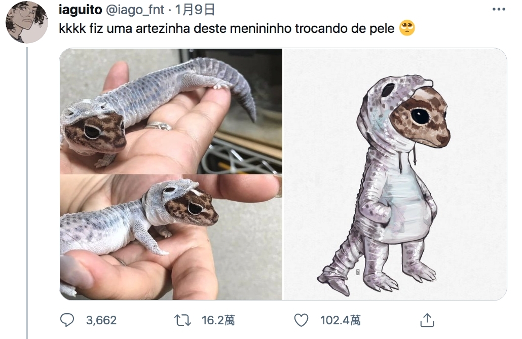 日本寵物守宮脫皮變著hoodie衛衣/守宮微笑萌樣爆紅