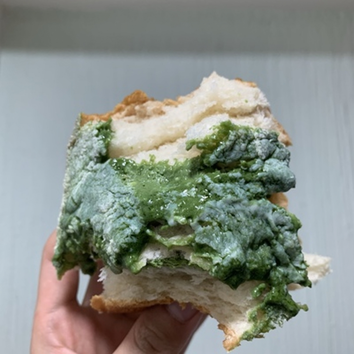 網民很不解為何還有人盲跟風搶購,不少人本身對淘寶食物已經沒有太大信心