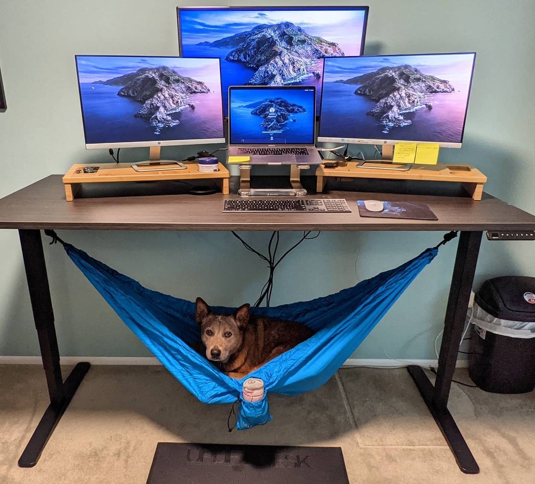 上班族午睡神器「桌下吊床」,以後無需趴在桌上,辦公室內亦能舒服躺下!