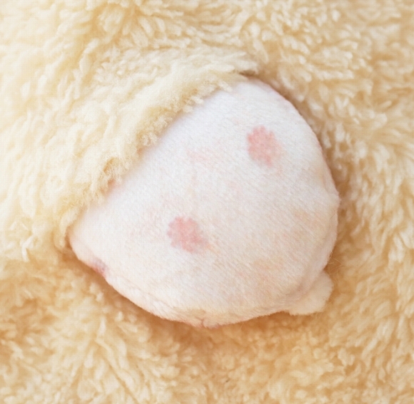 最讓人驚喜的就是貪睡倉鼠毛巾的背後,還有倉鼠突出來的小屁股!