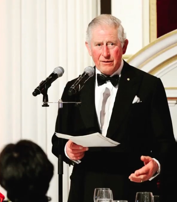而皇室傳記作家萊文(Angela Levin)透露,王儲查理斯(Prince Charles)與威廉王子(Prince William)在菲臘親王離世後,就曾經討論過英國皇室的未來發展