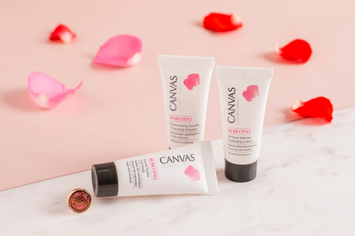 CANVAS™¥∫¿•˛§È®˛≈@ÆM∏À§Œ≠ª¬»§f∏n∞tπ¢