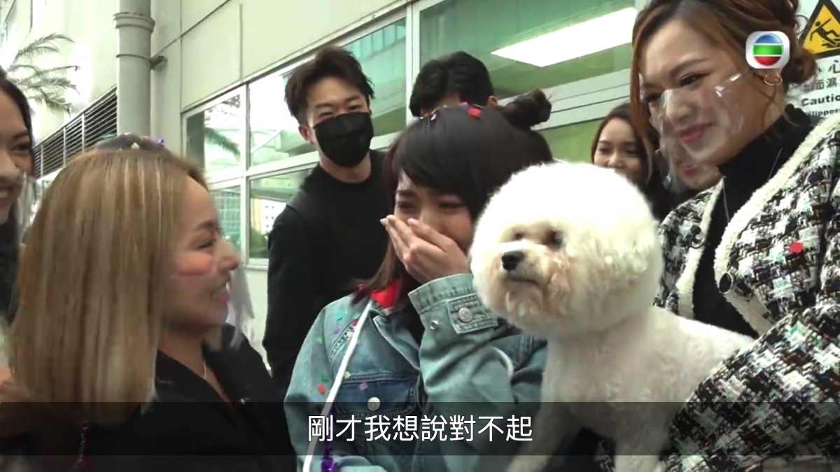 【TVB大整蠱】鄭融扮遺失小狗Bella林穎彤自責爆喊/網民負評無聊