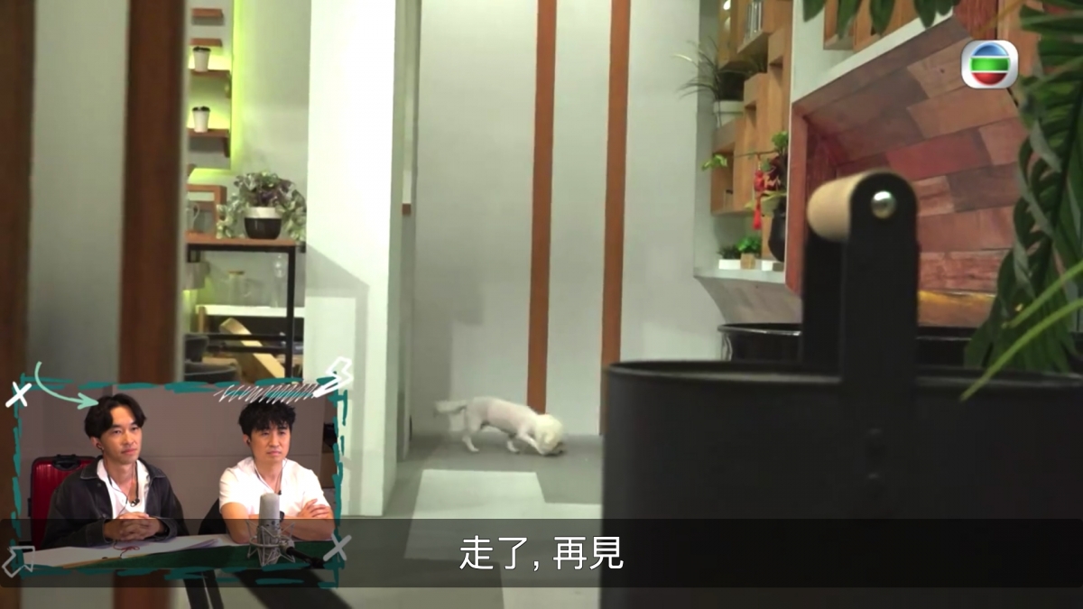 Screen Shot 2021-04-21 at 4.19.40 PM