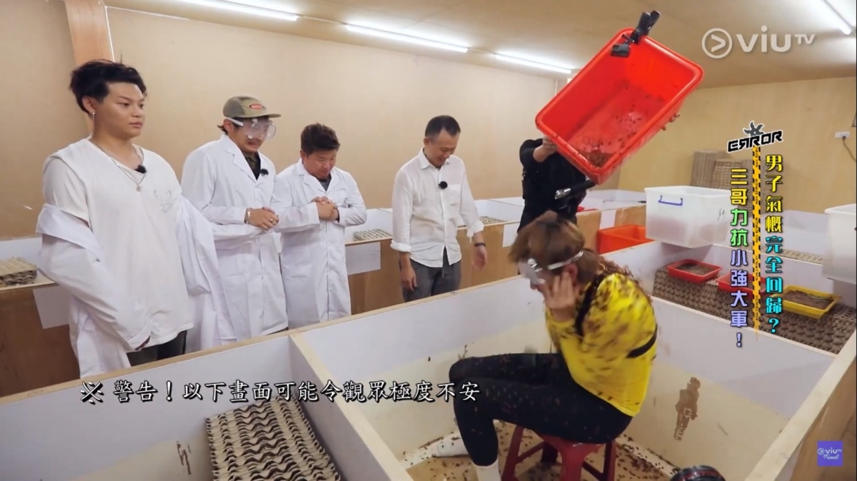 因為三爺天生就極度害怕任何動物,無論是可愛的貓貓狗狗,還是可怕的昆蟲、蟑螂都無一倖免,