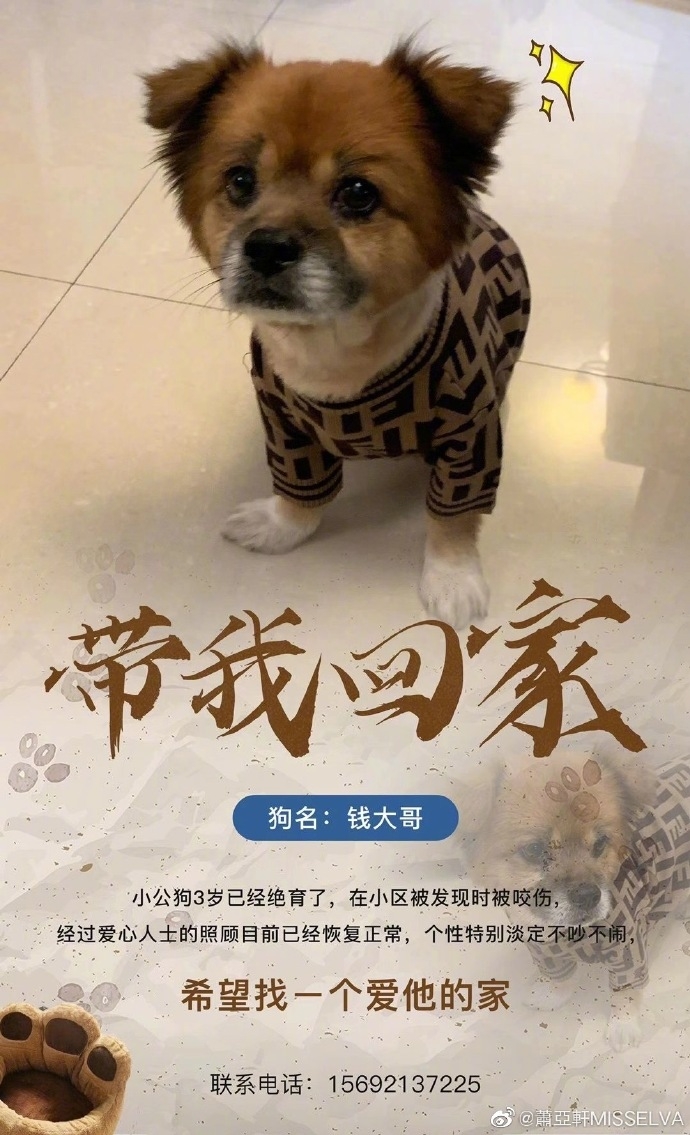 蕭亞軒公開被狗咬傷後臉上疤痕,大愛回應:無責怪狗狗,莫對領養有疑慮