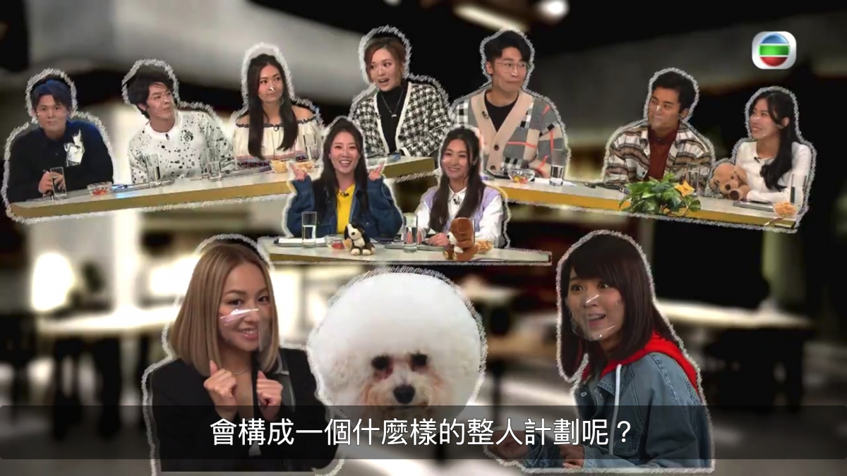 【TVB大整蠱】鄭融扮遺失小狗Bella林穎彤自責爆喊/網民負評無聊