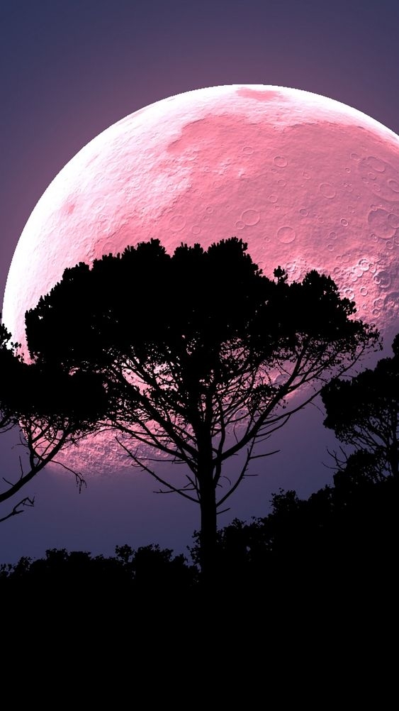 【2021天文現象】天琴座流星雨/超級粉紅月亮4月出現/預計每小時20顆流星