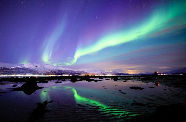 夢幻Aurora北極光玫瑰!仙氣紫藍漸變色花瓣