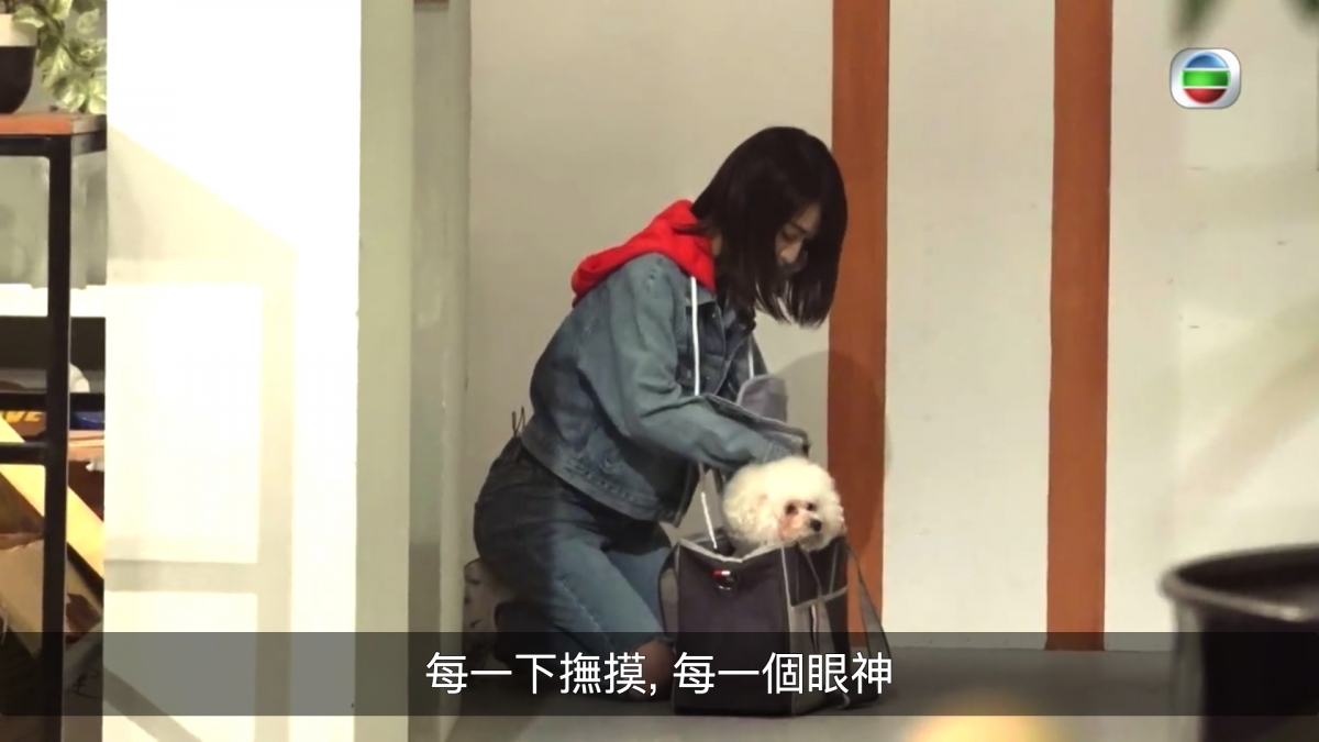 【TVB大整蠱】鄭融扮遺失小狗Bella林穎彤自責爆喊/網民負評無聊