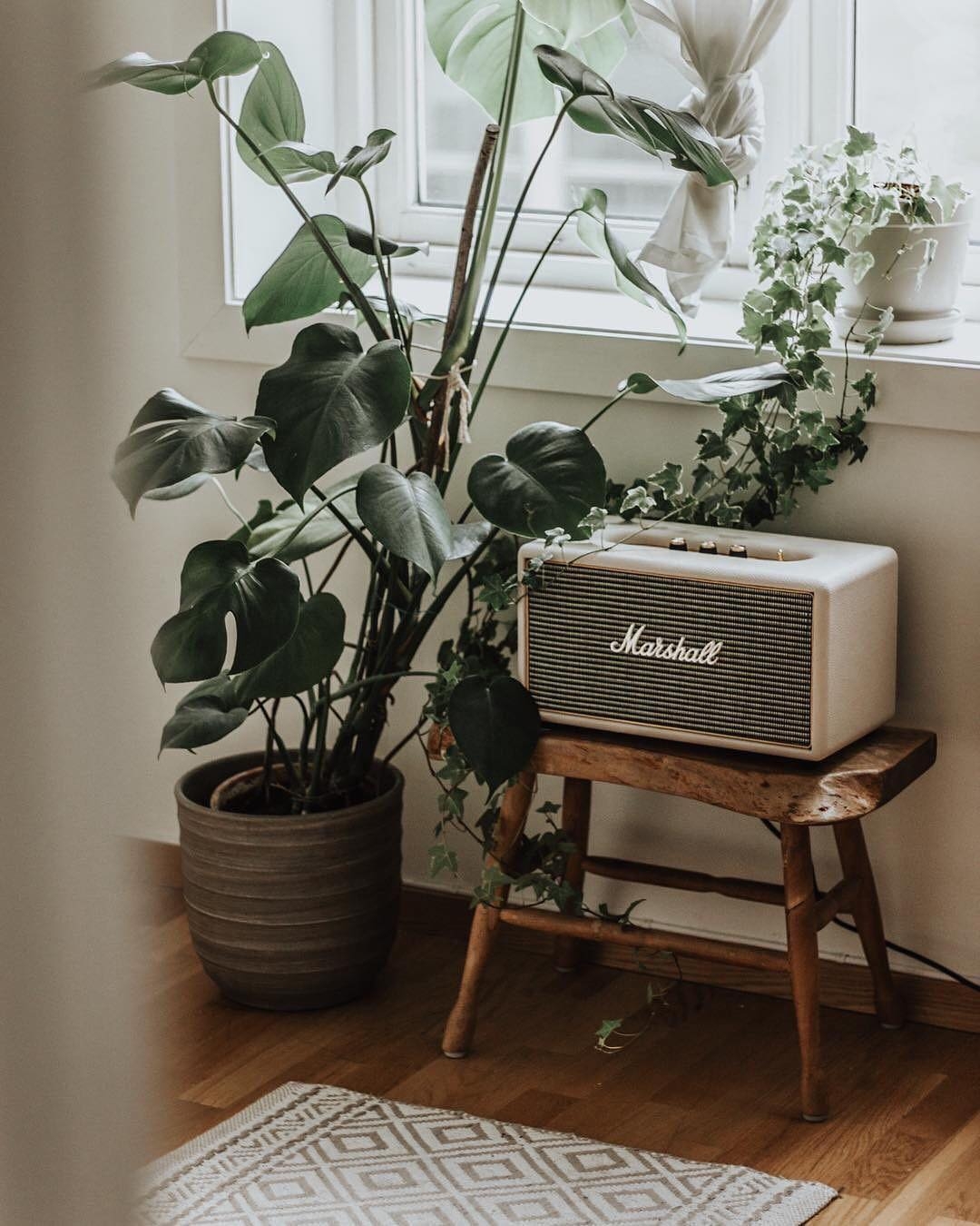 Marshall Emberton便攜式喇叭推新色!絕美奶油白+松柏綠,文青露營居家必備!