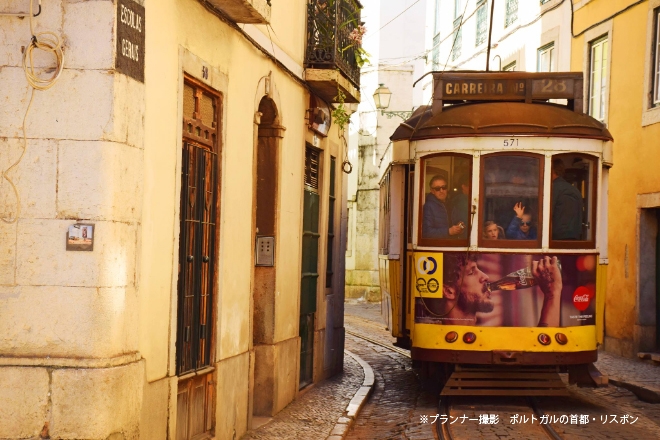 日本推唯美 山茶花彩繪玻璃傘 光線下折射彩色影子 宛如置身哥德式教堂 Girlstyle 女生日常