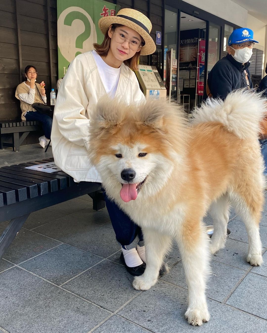 日本超可愛「米奇耳」秋田犬Yanagida,茂密炸毛雙耳異常不同!