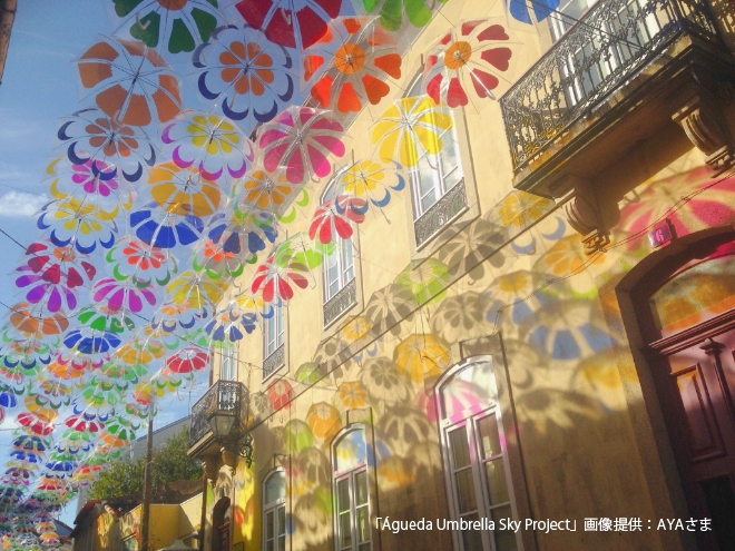 日本推唯美「山茶花彩繪玻璃傘」,光線下折射彩色影子,宛如置身哥德式教堂