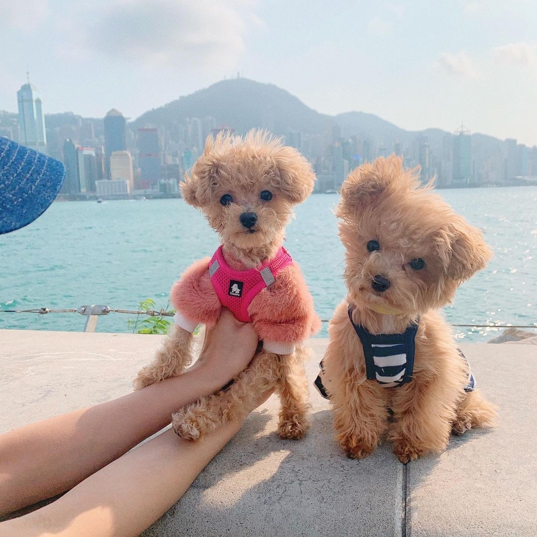 158767814_1043708829460342_2700240181077822115_n