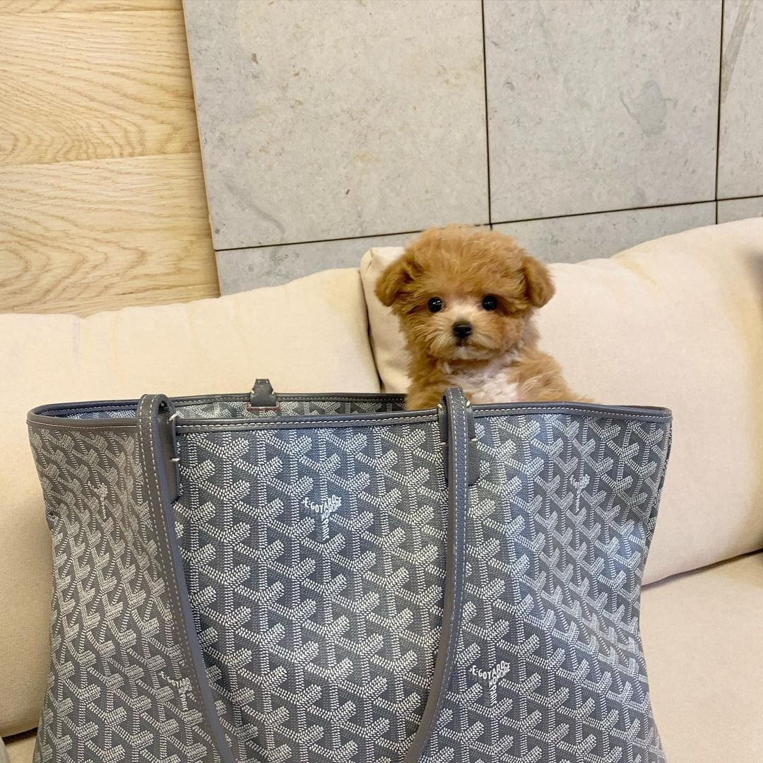 126824053_1274644152898142_3993406349366845324_n