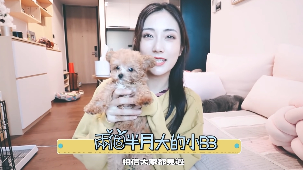 螢幕截圖 2021-05-17 下午12.03.54