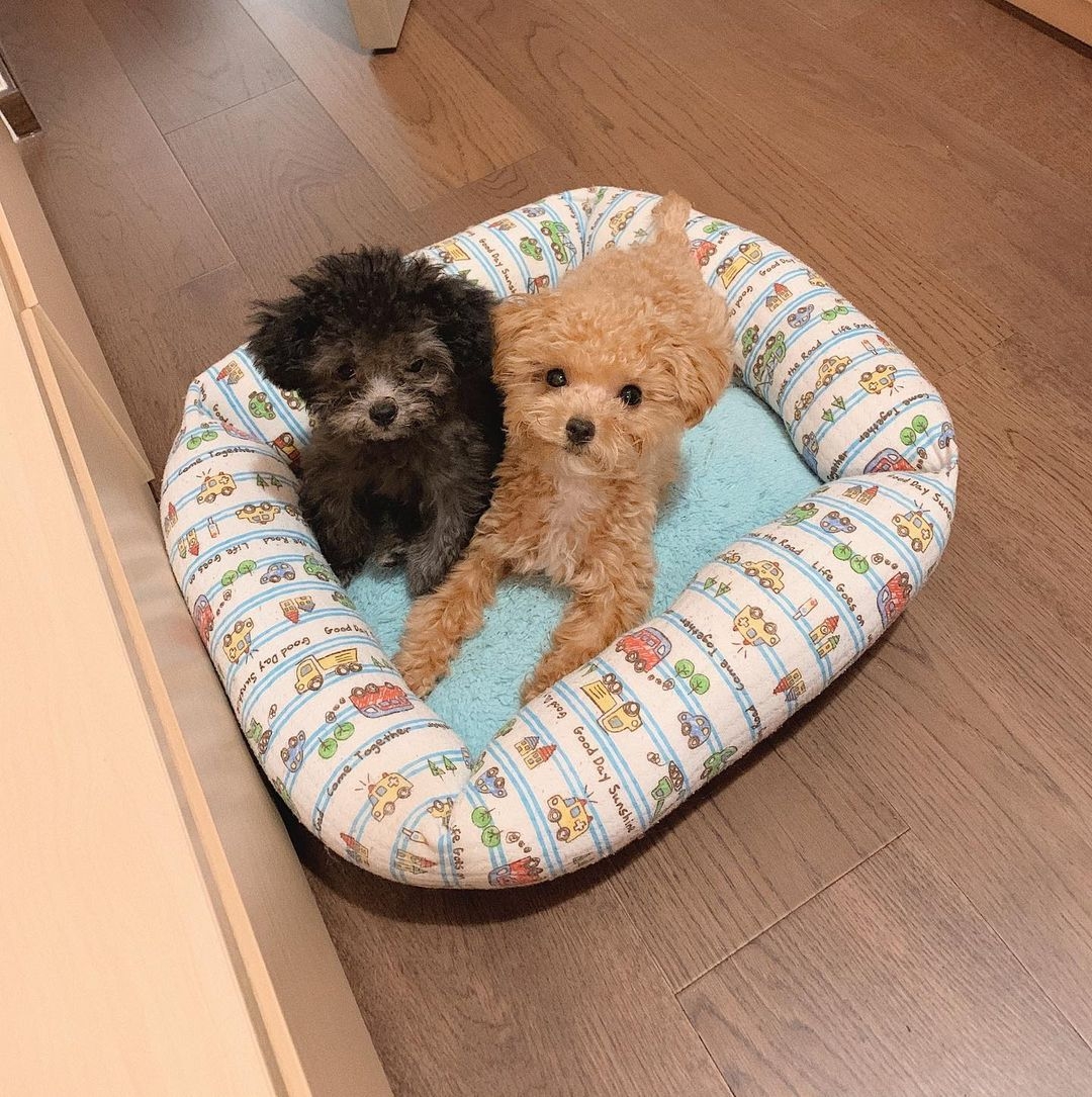 179378834_217772100113701_6998724399108694048_n