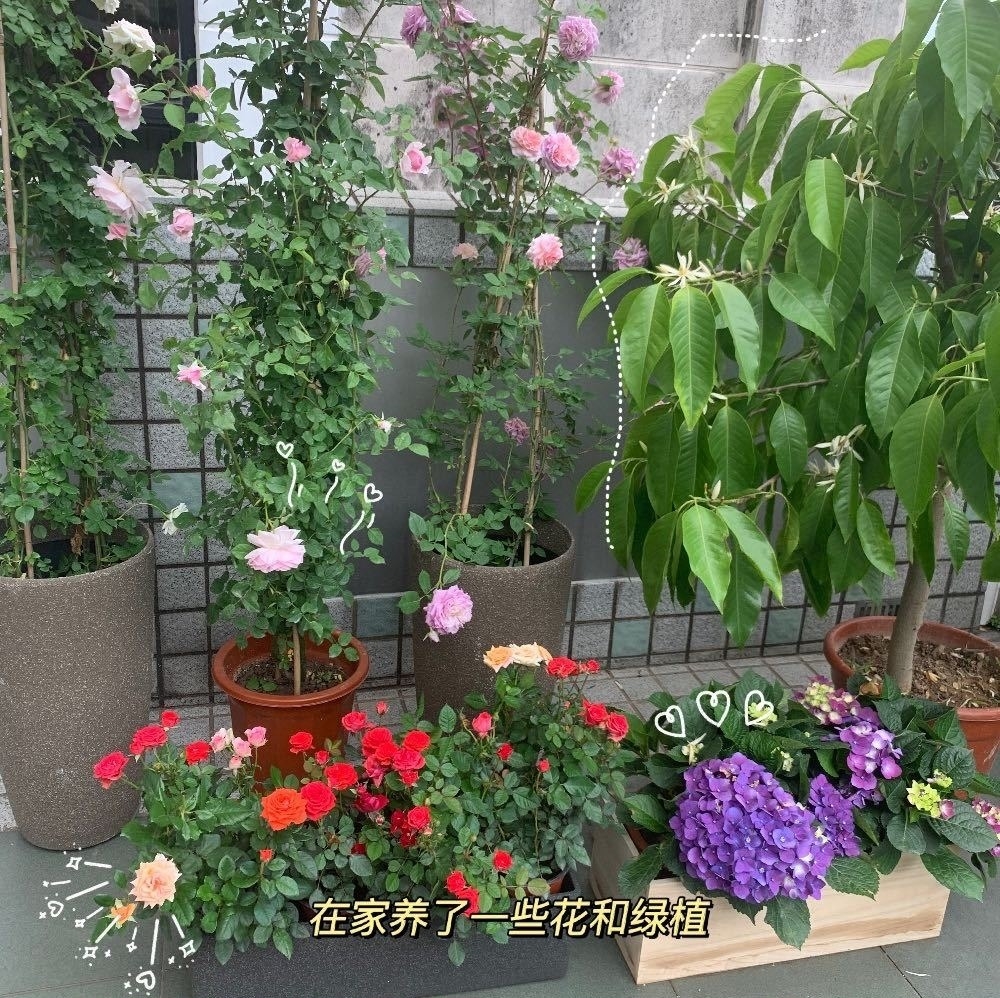 郭富城-豪宅-方媛-354