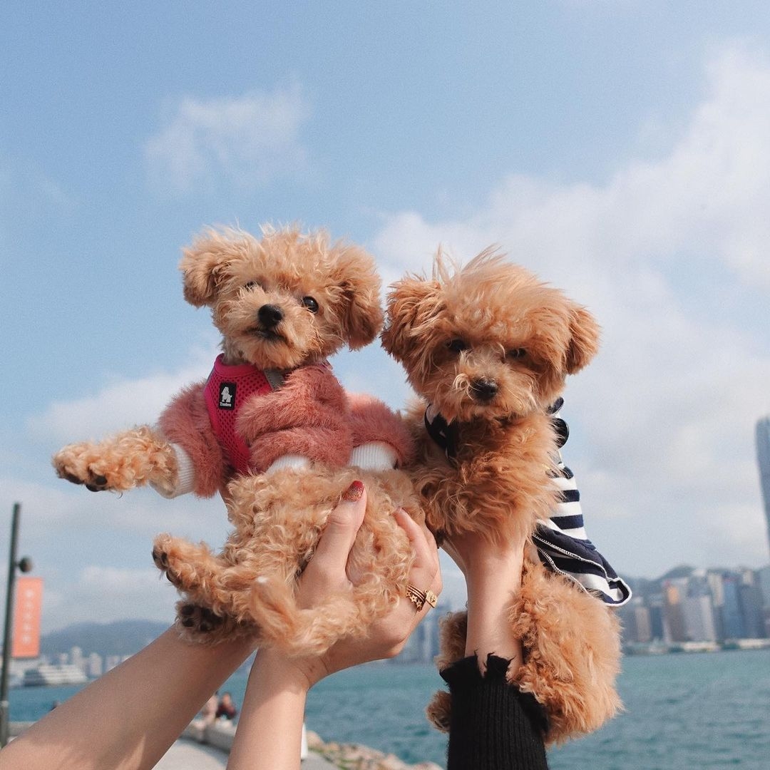 158783394_271068457821774_7003438125650306277_n